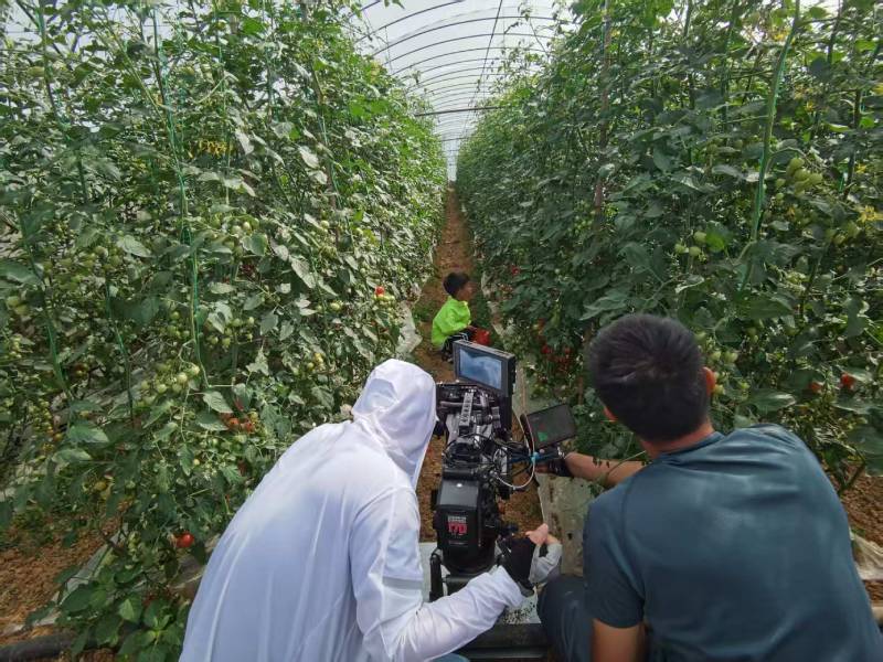 文化赋能，成县产品视频拍摄的差异化竞争力